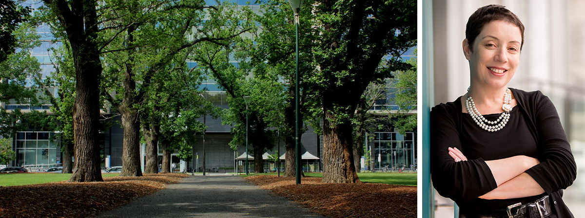 Centre for Comparative Constitutional Studies (CCCS)